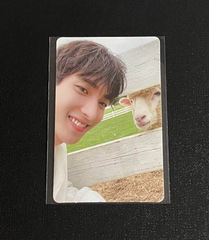 SEVENTEEN DK Social Club Carat Photobook Photo book Official