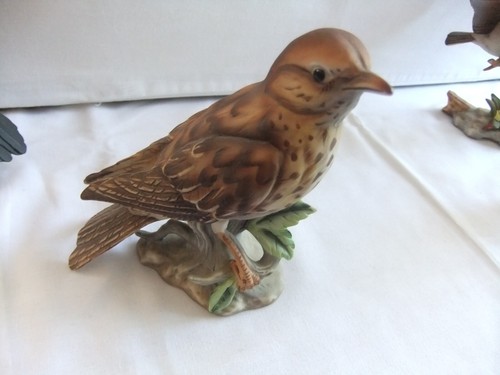 Vintage Maruri Bisque Porcelain Bird Figurines Blackbird, Thrush, Sparrow, Robin - Picture 7 of 20