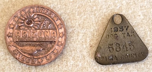 Arizona Commemorative Token and Pima County Dog License Tag