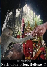 Nach oben offen. Reflexe 7: Tagebuchnotizen by Moritz Pirol (German) Paperback B