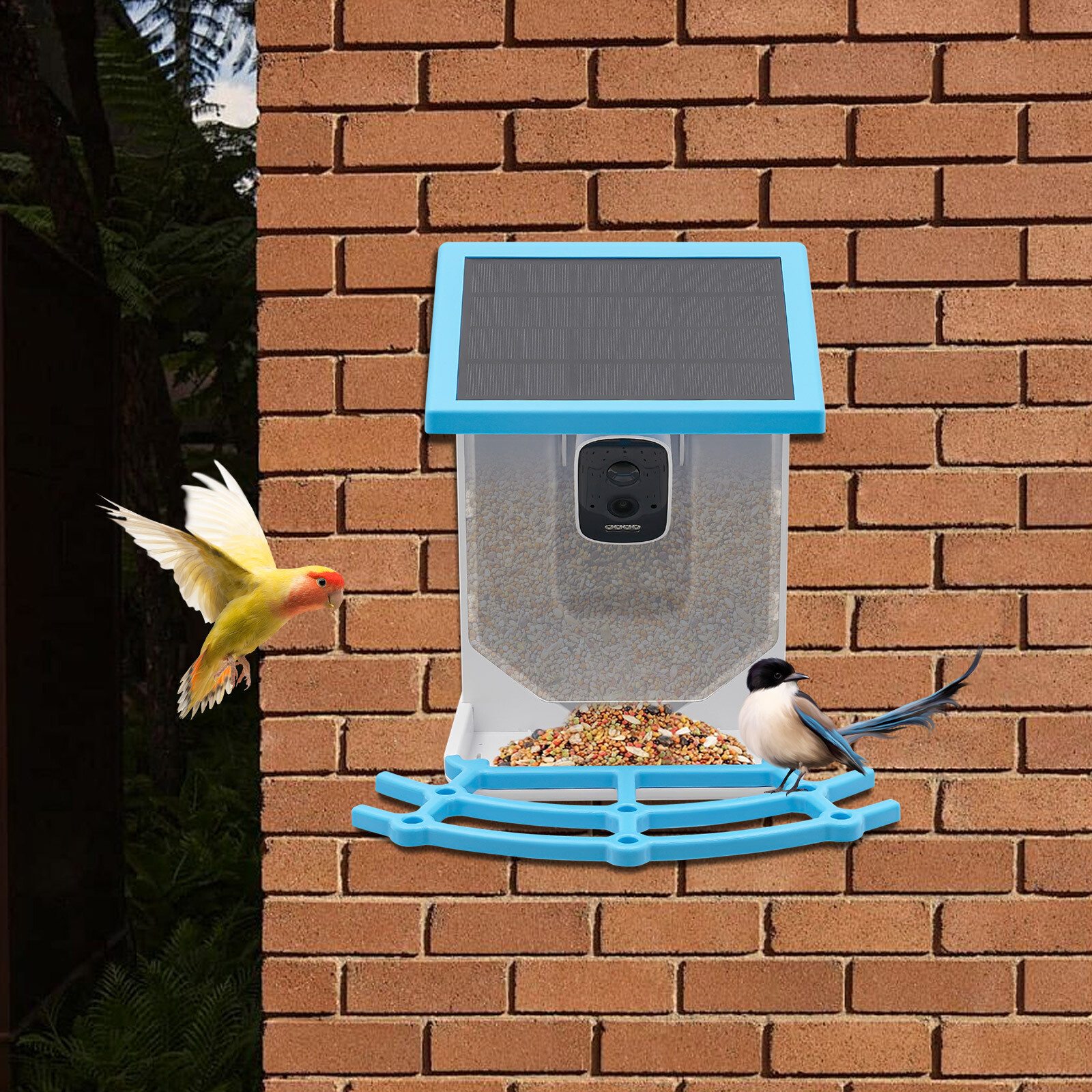 Solar Powered Bird Feeder Smart Bird Feeder Bird Feeding Unit with Camera Blue