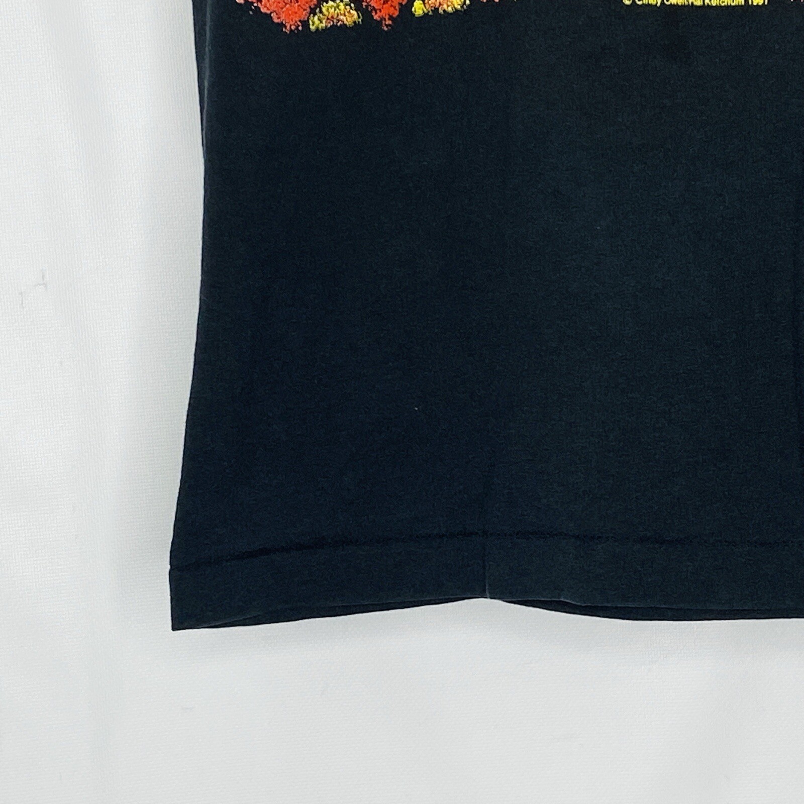 1991 Hal Ketchum Past the Point of Rescue Tour T Shirt XL Single Stitch VINTAGE