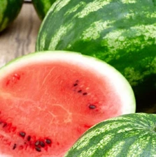 Cal Sweet Watermelon Seeds | Heirloom Watermelon Seeds | NON-GMO Garden Seeds