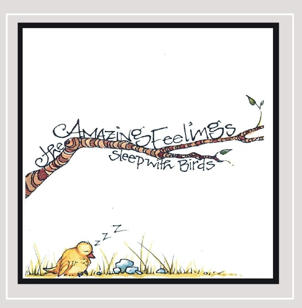The Amazing Feelings Sleep With Birds (CD) (ИМПОРТ из Великобритании)