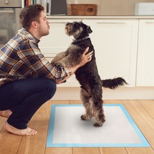 50 Pcs Puppy Training Pads Disposable Pee Pads Dog Cat Potty Fast Dry Leak-Proof