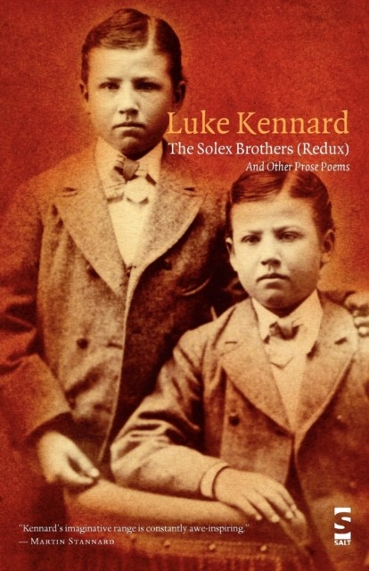 The Solex Brothers (Redux) : And Other Prose Poems by Luke Kennard Paperback NEW - Image 4