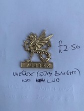 Wessex Regt cap badge-no lugs stay bright