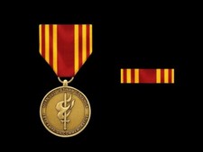 VIETNAM TET CAMPAIGN COMMEMORATIVE MEDAL MILITARY GIFT WOW