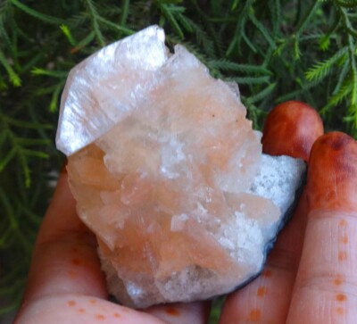 Heulandit Auf Chalcedony Kristalle Rock Mineralien Probe Bo = 6
