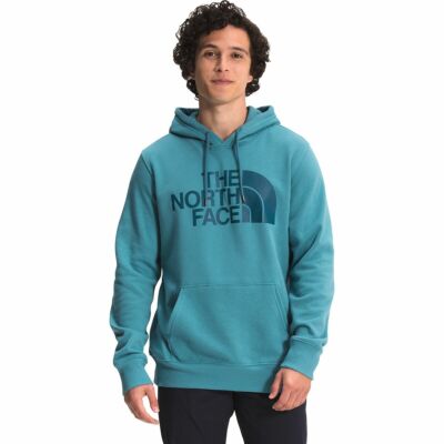 the north face surgent halfdome po hoodie