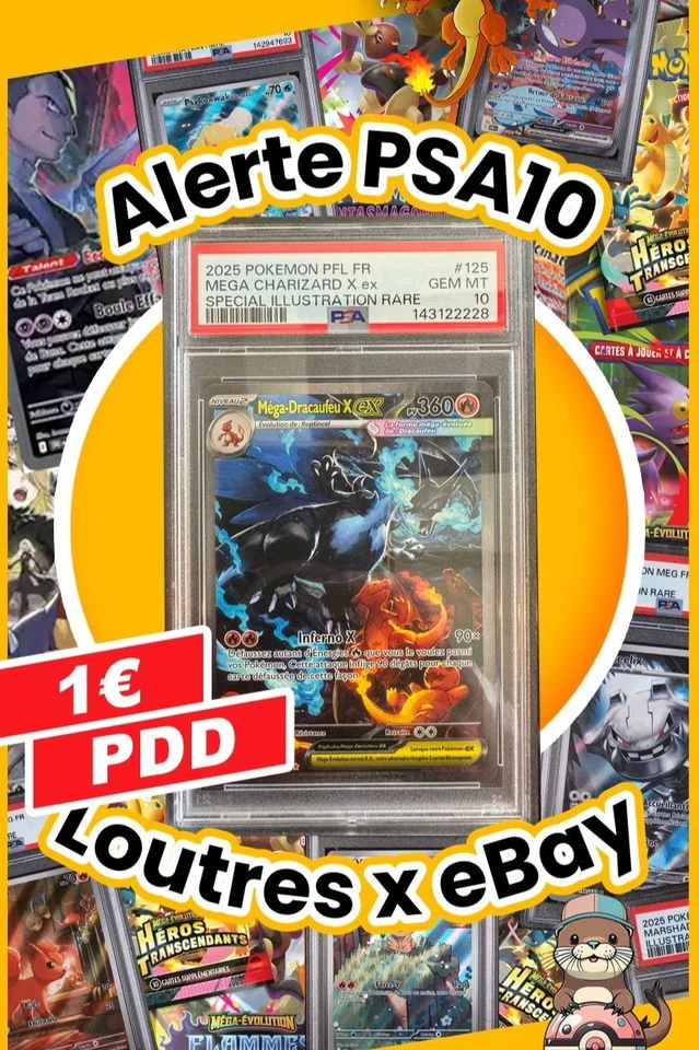 Live PSA des Loutres