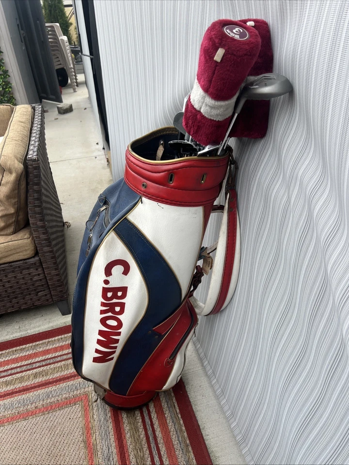 Wilson Profile SGI Mens Golf Club Set  Driver, Irons, Bag, Putter RH See Desc - Image 3 of 4