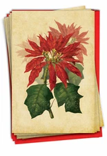 12 Merry Christmas Cards (1 Design, 12 Cards) - Poinsettia Season