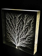Frozen Lightning/ Lichtenberg Figure 4"x4" x 0.75" Physics Sculpture