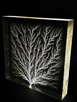 Frozen Lightning/ Lichtenberg Figure 4''x4'' x 0.75'' Physics Sculpture
