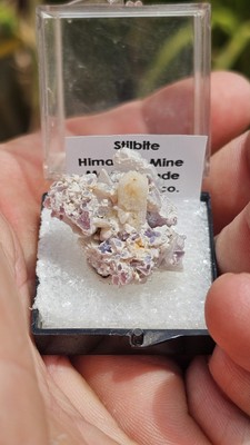Harris coll Stilbite  Himalaya Mine, San Diego County, California 1807-I61