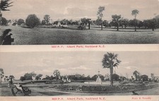 Albert Park Auckland New Zealand Vtg Postcard J1