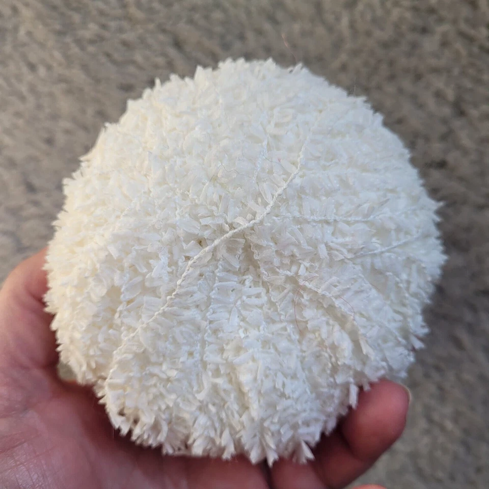 Katia Yarn White Drac 1 ball Nylon Fuzzy  25g 122 yds Color 1 Lot 24531 DISC - Image 2 of 4