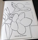 Picture 7 of 10