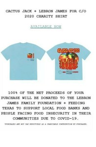 lebron cactus jack