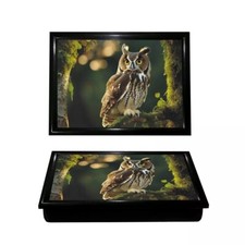 Owl Lap Tray Serving Soft Padded Cushioned Bean Bag Dinner Breakfast Laptray