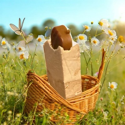 Coconut Natural Ingredients Handmade Bar Soap Pack Of 2