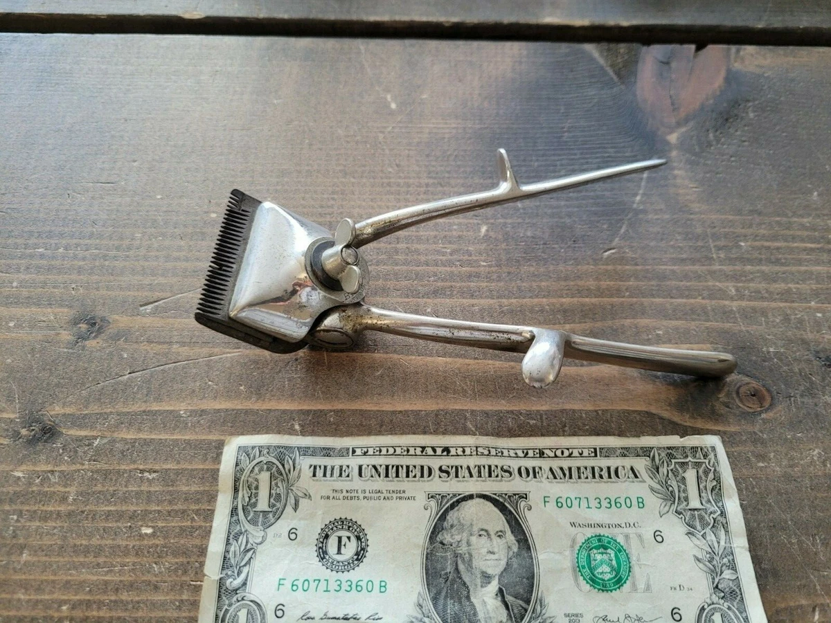 Old Hair Buzzer