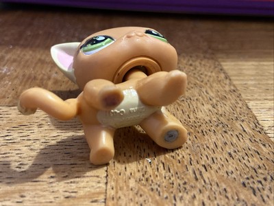 Authentic Littlest Pet Shop #525 790 Shorthair Cat / Original Hasbro LPS