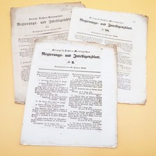 Zeitung Antik Herzoglich Sachsen Meiningisches Regierungs und Intelligenzblatt 1