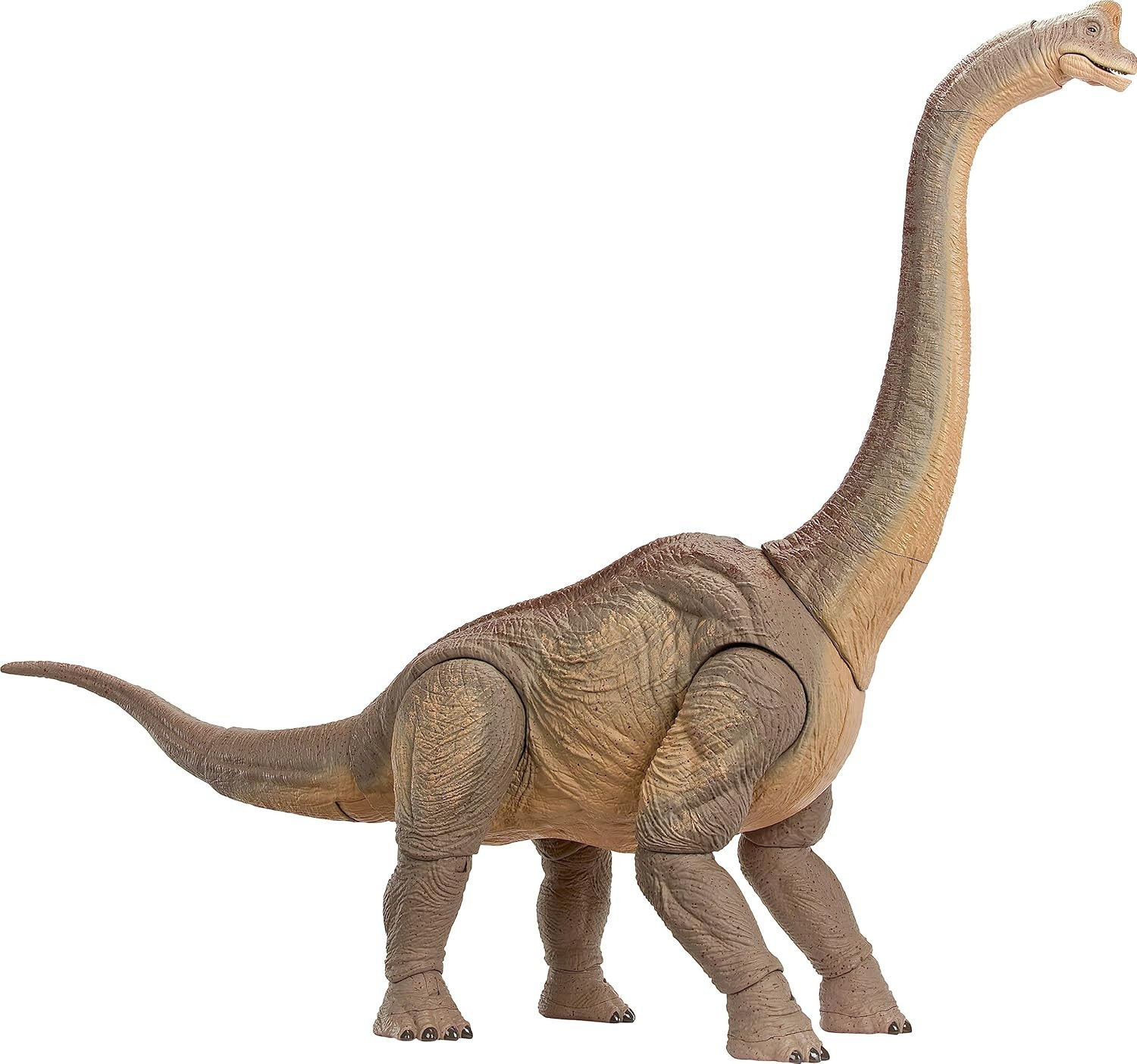 Mattel Jurassic World Hammond Collection - Statuetta Brachiosaurus, 60 Cm