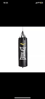 Everlast Hanging Bag Boxing