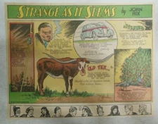 Strange As It Seems: Texas Longhorns, Birds Nest Soup by Hix from 1/4/1942