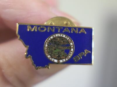 Vtg BPA Business Professionals of America Montana Enamel Lapel Badge ...