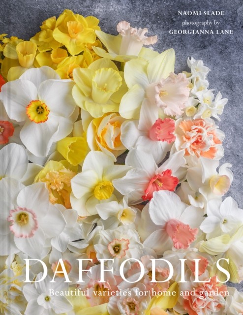Daffodils : Beautiful Varieties For Home And Garden Naomi Slade - Image 6