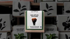 Bad Apples THE BLOCKBUSTER - Giant 10-Species Seed Bomb -Erosion Control  System