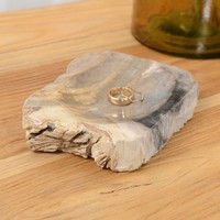 Fossiles Holz Seifenschale Ca. 13 Cm Seifenablage Naturstein Wohnfreuden