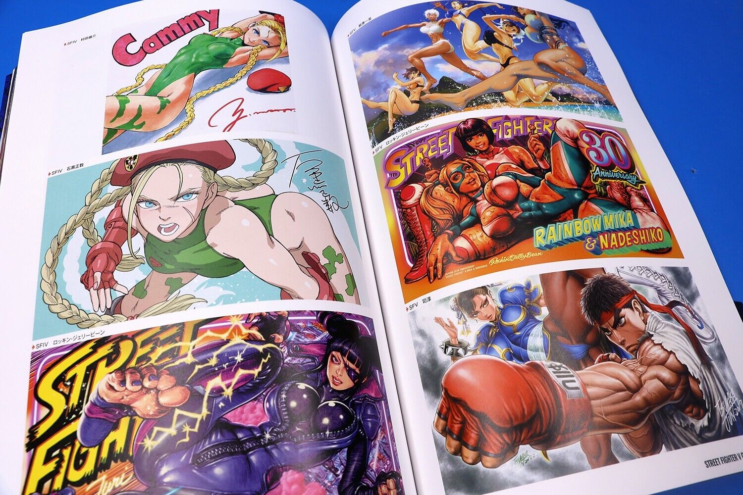 Street Fighter V 5 Climax Arts + Zero to 6 Art Book, Design Works Visual  Capcom