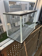 ⋆˙⟡ kleiner Terrarium ✧˖°