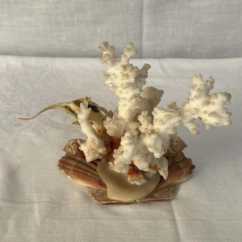 Natural Coral & Shell Sea Display Ornament 10 cm Tall x 10cm Wide Vintage - Image 4 of 4