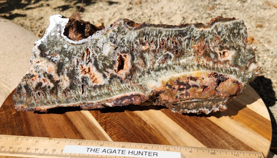 Muestra de ágata pluma ala de ángel verde Cady Mtn 11,5"X5"X4,5" 10 libras ver video Foto 3 de 4