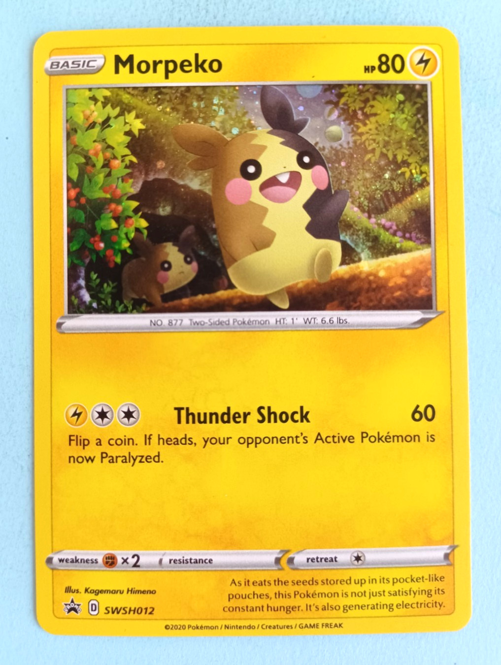 POKEMON BLACK STAR PROMO MORPEKO #SWSH012 HOLO NMMT CLEAN UNPLAYED