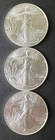 Lot of Three 2026 $1 American Silver Eagle Dollars