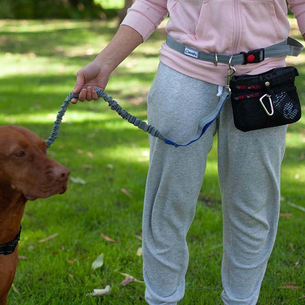 Zenify Hands Free Dog Lead for Running, Walking, Hiking, Canicross Dual Handle C eBay