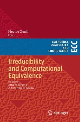 Irreducibility and Computational Equivalence: 10 Years After Wolfram's A New Kin
