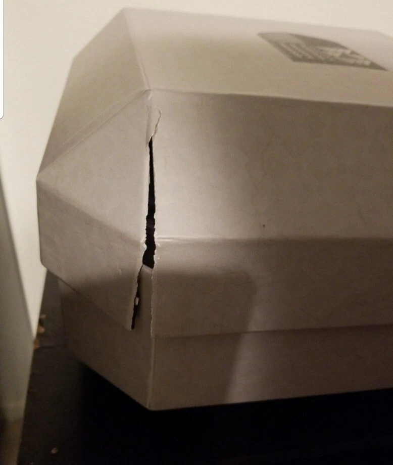 Destiny -- The Ghost Edition (Sony PlayStation 4, 2014) BOX ONLY - Image 4 of 4