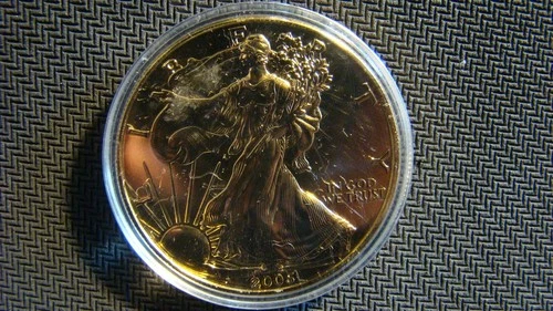 2005 American Silver Eagle W/ Gold Guilding 1oz Fine Silver From A Local Estate
