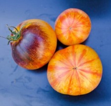 10 Graines De Tomate Alice ´s Dream Bio