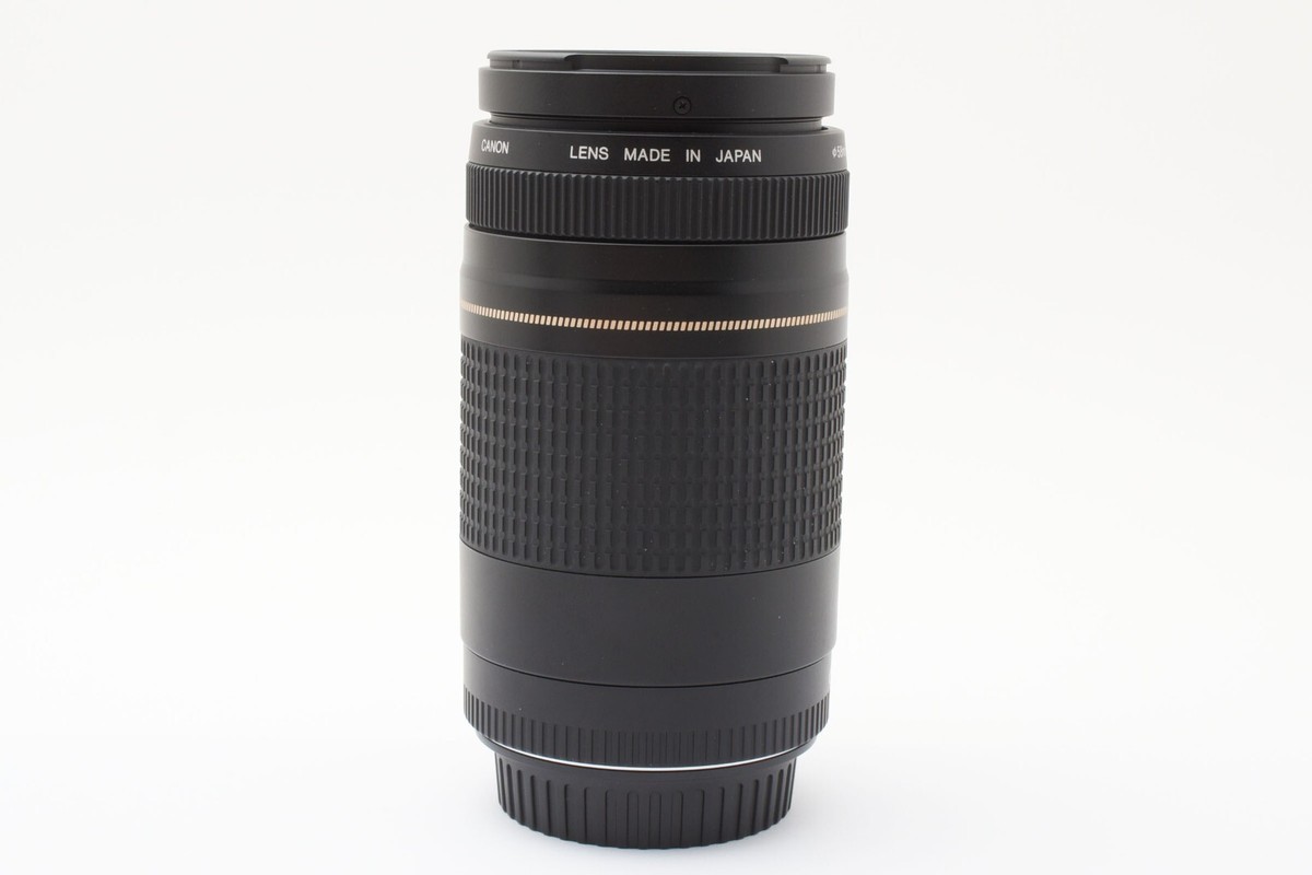 【N2131】 Canon EF 75-300mm 4-5.6 Ⅱ USM $_12.JPG?set_id=880000500F