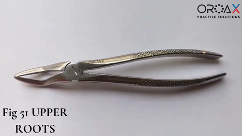 Pinza estrazione denti Fig-51 radici superiori molari strumento chirurgia orale - Video 1 di 1