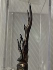 Large Cyclommatus Imperator Prodotto Per Collezionisti In Plaxi-Glass Case 85 mm — photo 4